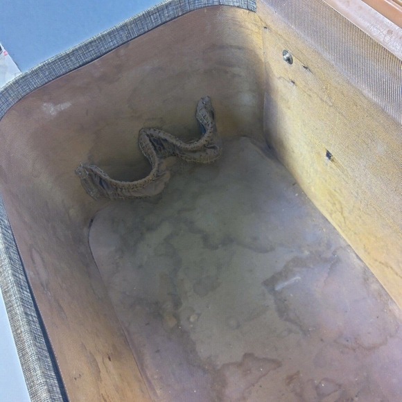 Vintage HORN Rice Stix St Louis Train Case No Key HTF luggage carry on lined - Picture 12 of 12